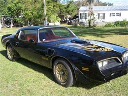 1978 Pontiac Firebird Trans Am (CC-1904332) for sale in Cadillac, Michigan