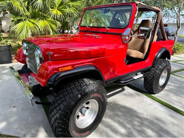 1980 Jeep CJ7 (CC-1904677) for sale in Cadillac, Michigan