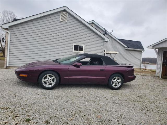 1996 Pontiac Firebird (CC-1904678) for sale in Cadillac, Michigan