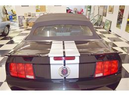 2007 Ford Mustang (Roush) (CC-1904920) for sale in Fredericksburg, Virginia