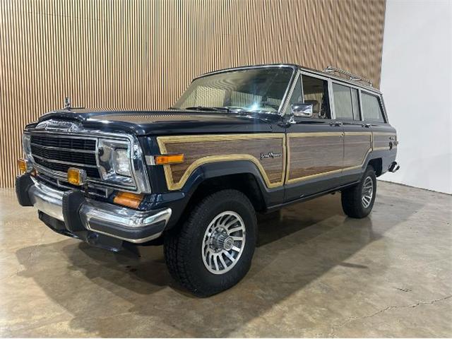 1991 Jeep Wagoneer (CC-1905043) for sale in Cadillac, Michigan