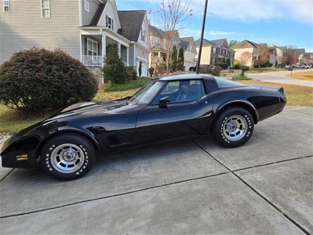 1981 Chevrolet Corvette (CC-1905066) for sale in Cadillac, Michigan