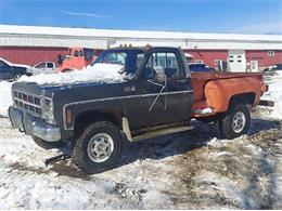 1979 GMC Pickup (CC-1905068) for sale in Cadillac, Michigan