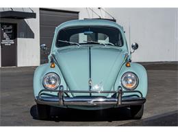 1963 Volkswagen Beetle (CC-1905122) for sale in Laguna Beach, California