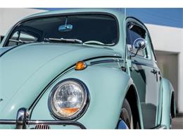 1963 Volkswagen Beetle (CC-1905122) for sale in Laguna Beach, California