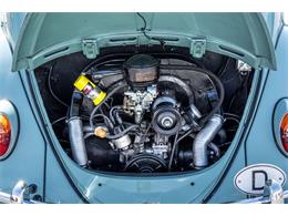 1963 Volkswagen Beetle (CC-1905122) for sale in Laguna Beach, California