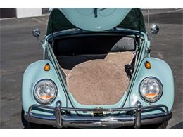 1963 Volkswagen Beetle (CC-1905122) for sale in Laguna Beach, California