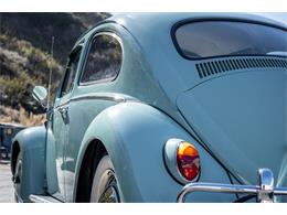 1963 Volkswagen Beetle (CC-1905122) for sale in Laguna Beach, California