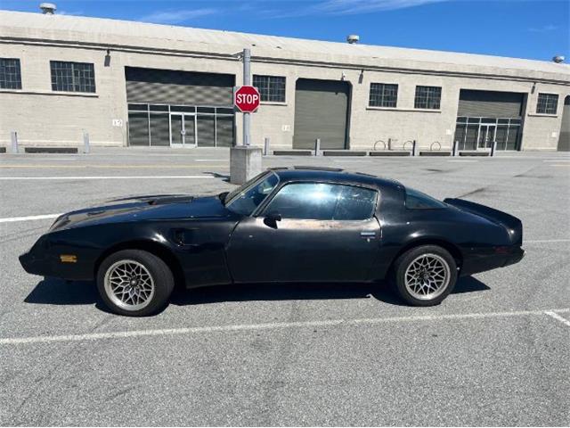 1979 Pontiac Firebird (CC-1905304) for sale in Cadillac, Michigan