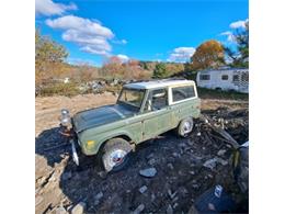 1975 Ford Bronco (CC-1905314) for sale in Cadillac, Michigan