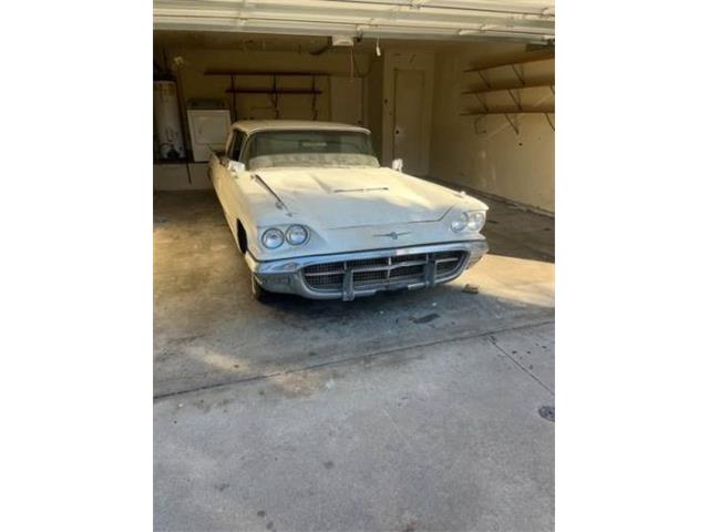 1960 Ford Thunderbird (CC-1905557) for sale in Cadillac, Michigan