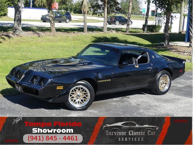 1980 Pontiac Firebird Trans Am (CC-1905724) for sale in Palmetto, Florida