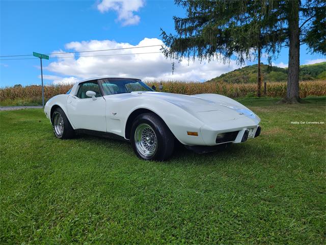 1979 Chevrolet Corvette (CC-1906171) for sale in martinsburg, Pennsylvania