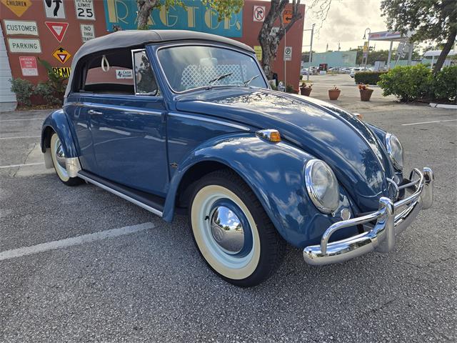 1965 Volkswagen Beetle (CC-1900639) for sale in Lake Worth Beach, Florida