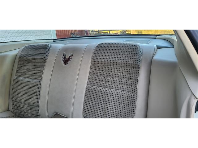 1980 Pontiac Firebird Trans Am (CC-1900645) for sale in Terre Haute, Indiana