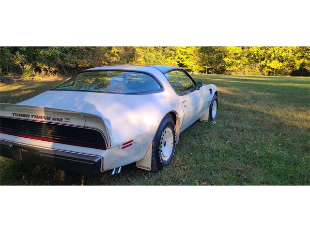 1980 Pontiac Firebird Trans Am (CC-1900645) for sale in Terre Haute, Indiana