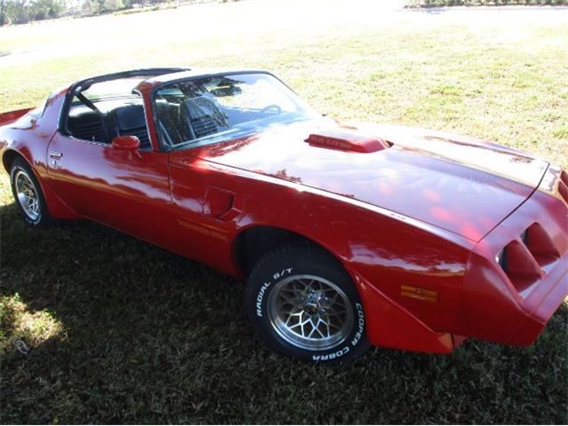 1979 Pontiac Firebird Trans Am (CC-1906495) for sale in Cadillac, Michigan