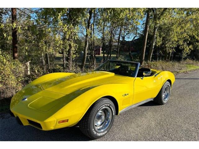 1975 Chevrolet Corvette (CC-1906567) for sale in Cadillac, Michigan