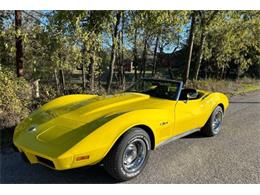 1975 Chevrolet Corvette (CC-1906567) for sale in Cadillac, Michigan