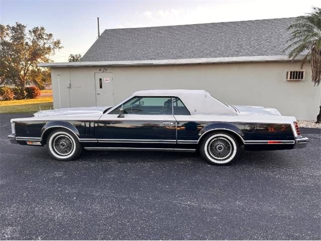 1979 Lincoln Continental (CC-1906584) for sale in Cadillac, Michigan