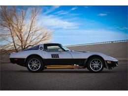 1981 Chevrolet Corvette (CC-1906612) for sale in Cadillac, Michigan