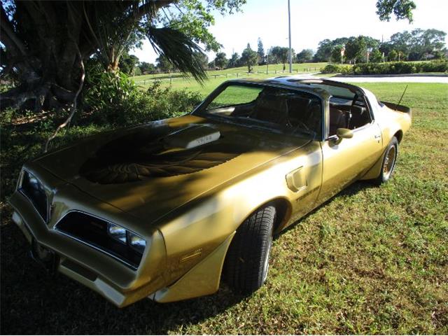 1979 Pontiac Firebird Trans Am (CC-1906614) for sale in Cadillac, Michigan