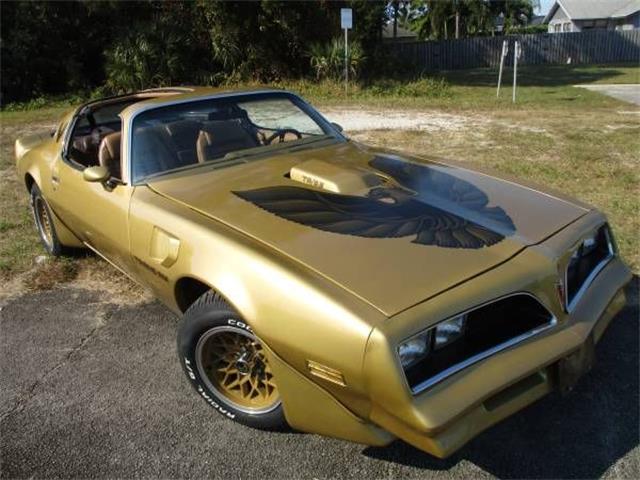 1979 Pontiac Firebird Trans Am (CC-1906614) for sale in Cadillac, Michigan