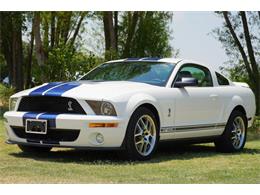 2008 Ford Shelby Cobra (CC-1906723) for sale in Roanoke, Texas