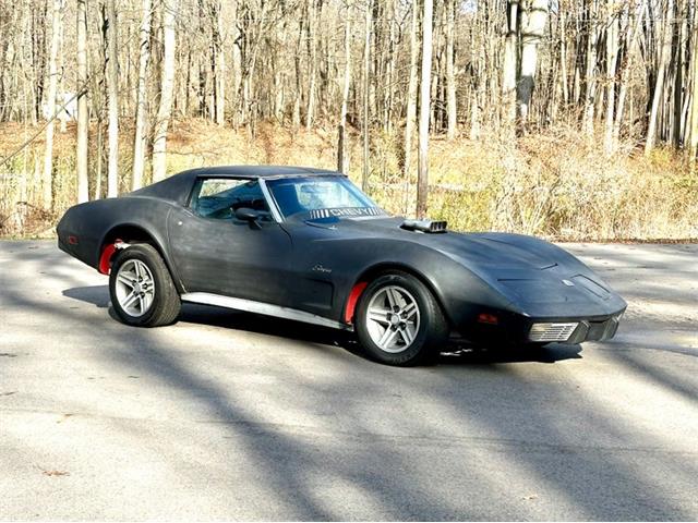 1974 Chevrolet Corvette (CC-1907042) for sale in Saugatuck, Michigan