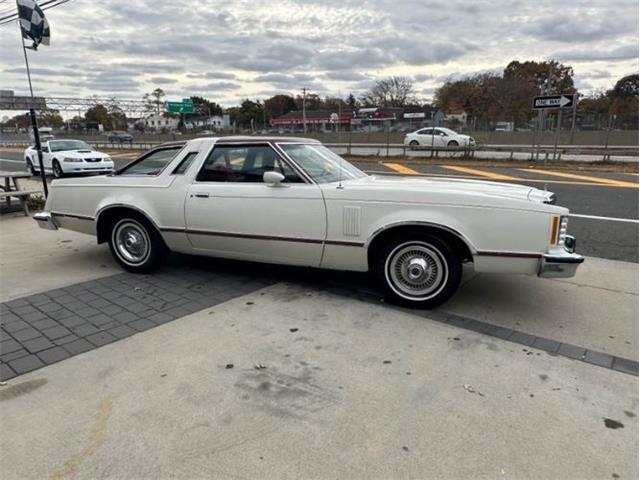 1977 Ford Thunderbird (CC-1900726) for sale in Cadillac, Michigan