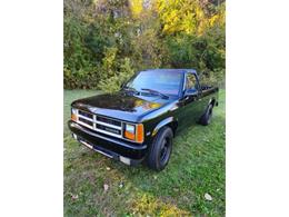 1989 Dodge Dakota (CC-1900735) for sale in Cadillac, Michigan