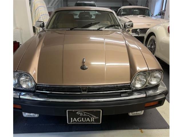 1989 Jaguar XJS (CC-1900742) for sale in Cadillac, Michigan