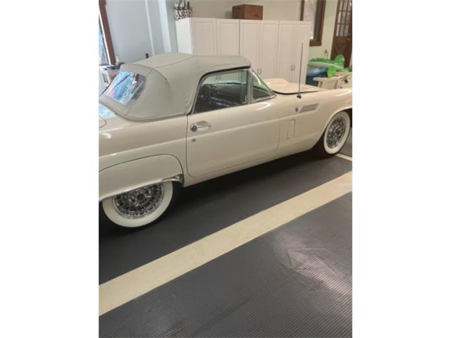 1956 Ford Thunderbird (CC-1900755) for sale in Cadillac, Michigan