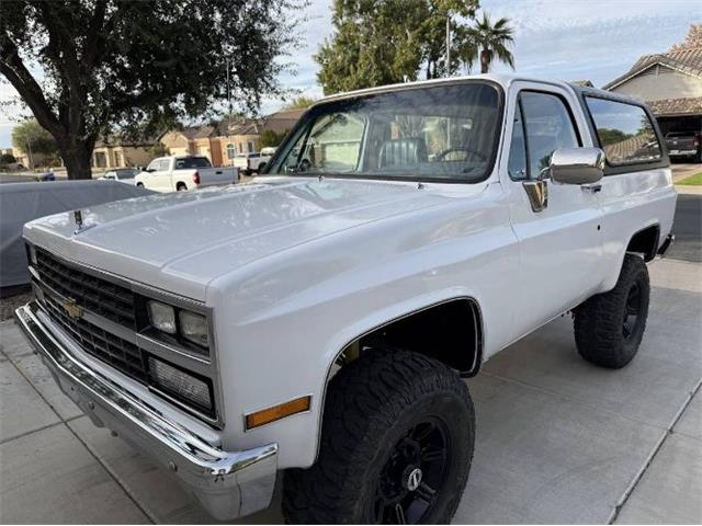 1988 Chevrolet Blazer (CC-1907787) for sale in Cadillac, Michigan