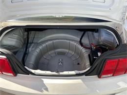 2008 Ford Mustang (CC-1907828) for sale in Bradenton, Florida