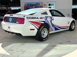 2008 Ford Mustang (CC-1907828) for sale in Bradenton, Florida