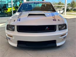 2008 Ford Mustang (CC-1907828) for sale in Bradenton, Florida