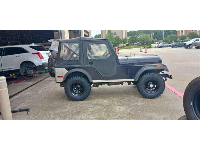 1980 Jeep CJ5 (CC-1907838) for sale in Cadillac, Michigan