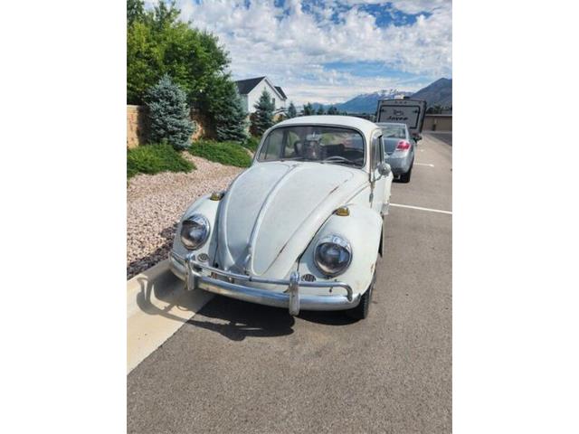 1965 Volkswagen Beetle (CC-1907840) for sale in Cadillac, Michigan