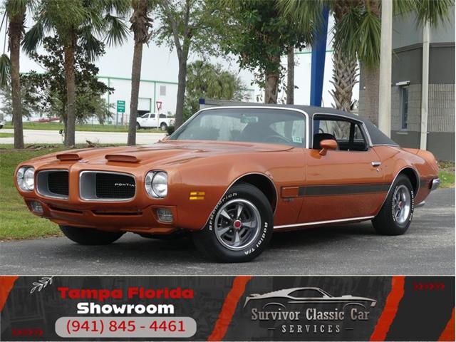 1971 Pontiac Firebird (CC-1900804) for sale in Palmetto, Florida