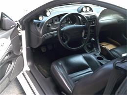 2002 Ford Mustang (CC-1908560) for sale in Stratford, Connecticut