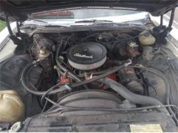 1975 Chevrolet Caprice (CC-1908630) for sale in Cadillac, Michigan