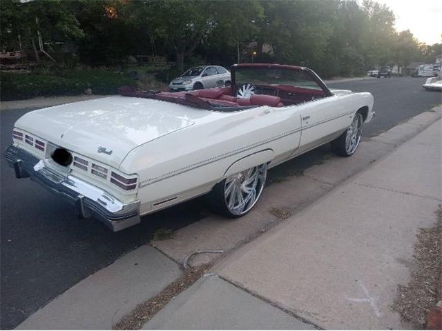 1975 Chevrolet Caprice (CC-1908630) for sale in Cadillac, Michigan