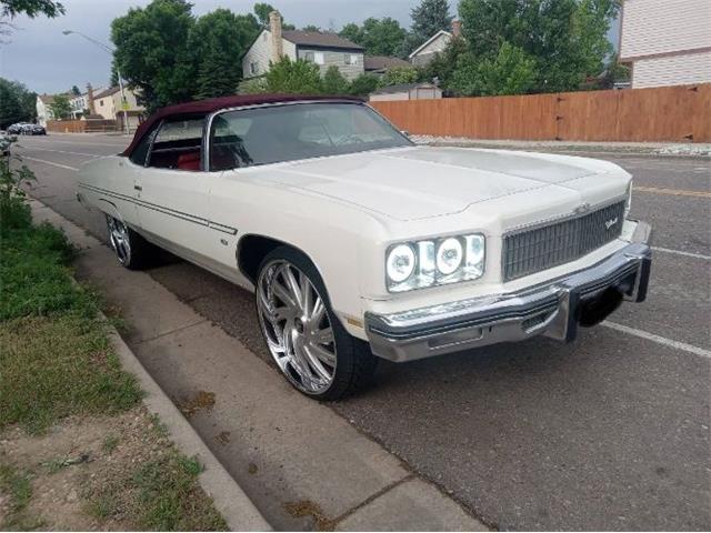 1975 Chevrolet Caprice (CC-1908630) for sale in Cadillac, Michigan