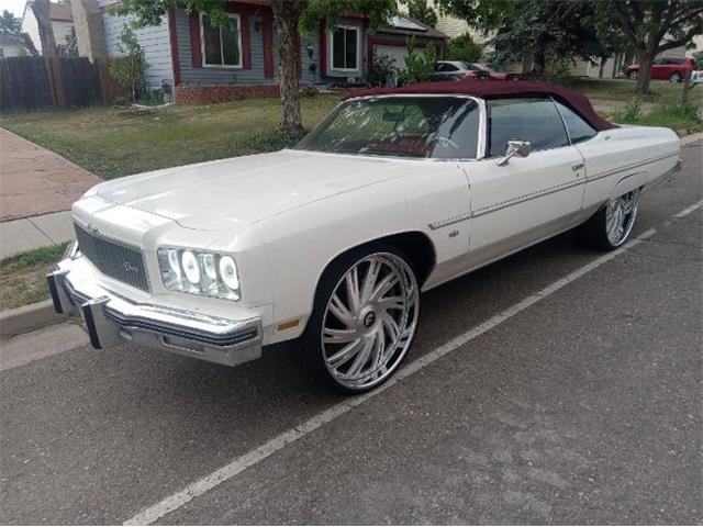 1975 Chevrolet Caprice (CC-1908630) for sale in Cadillac, Michigan
