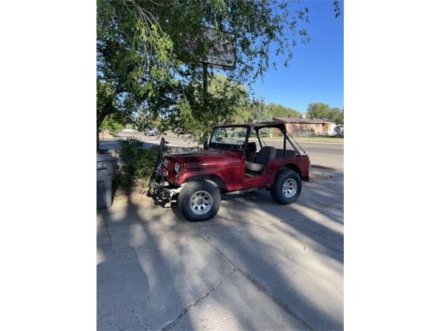 1970 Jeep CJ5 (CC-1908642) for sale in Cadillac, Michigan