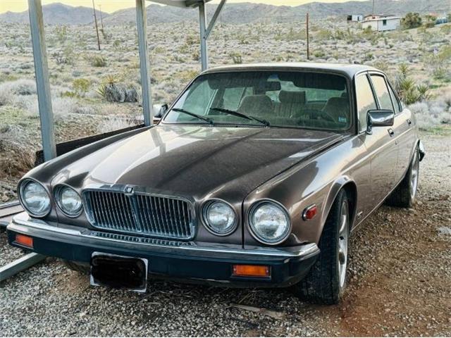 1985 Jaguar XJ12 (CC-1908669) for sale in Cadillac, Michigan