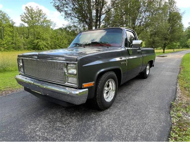 1986 Chevrolet C10 (CC-1908907) for sale in Cadillac, Michigan