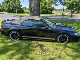 2001 Ford Mustang Cobra (CC-1909139) for sale in OKEANA, Ohio