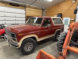 1985 Ford Bronco (CC-1909359) for sale in Old Monroe , Missouri